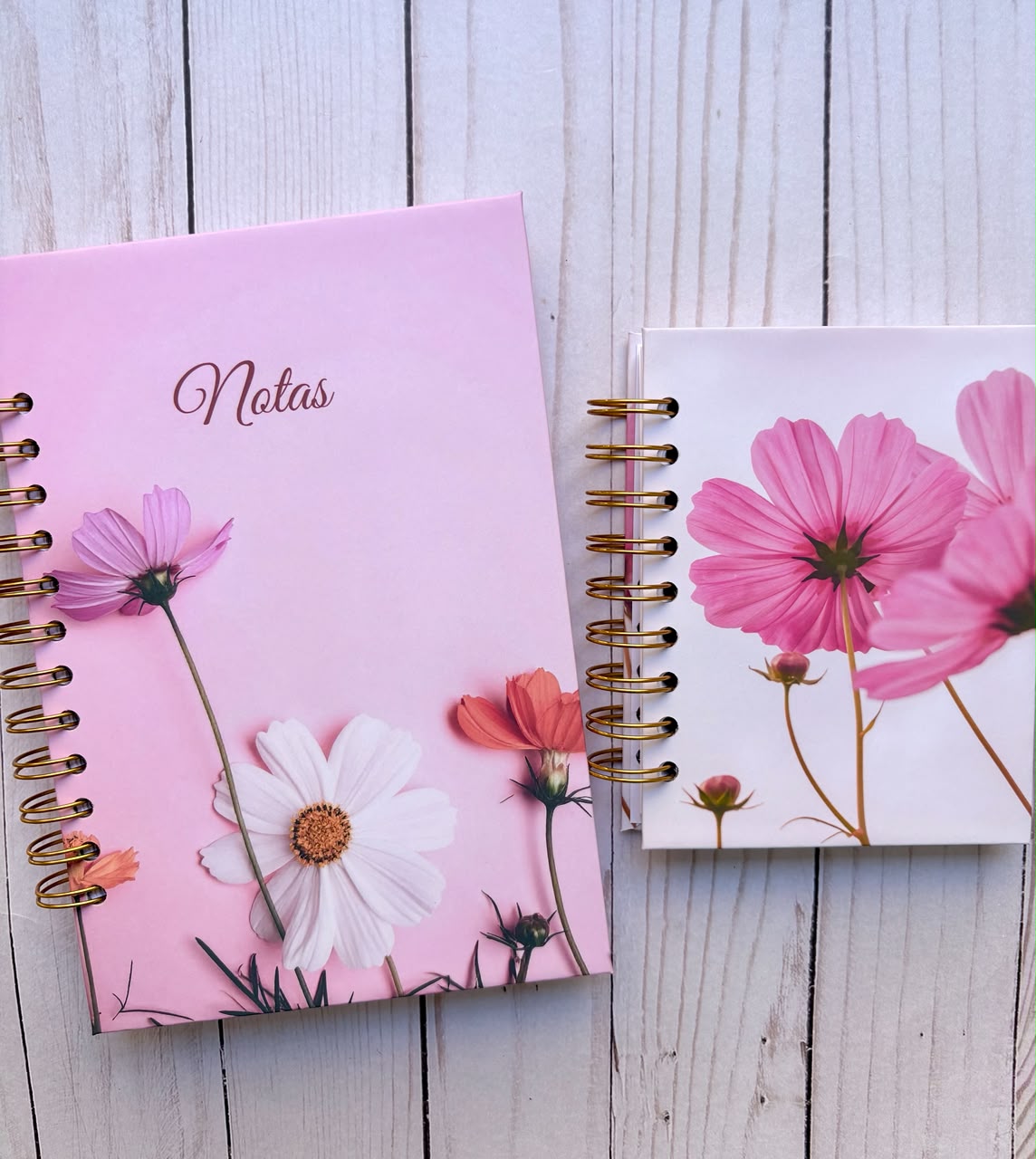 Cuadernos de notas